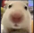 10674